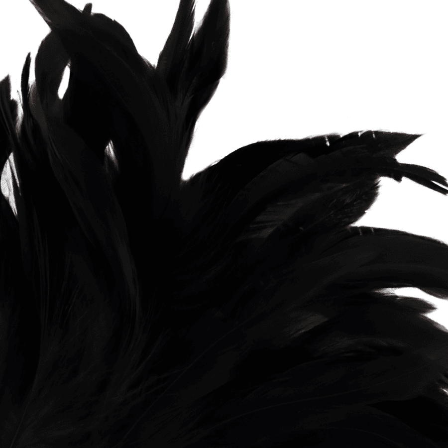DARKNESS - PENNA STIMOLANTE LUX NERA - immagine 2